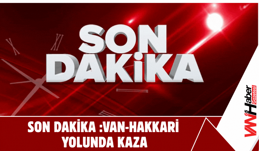 SON DAKİKA: Van-Hakkari Yolunda Kaza!