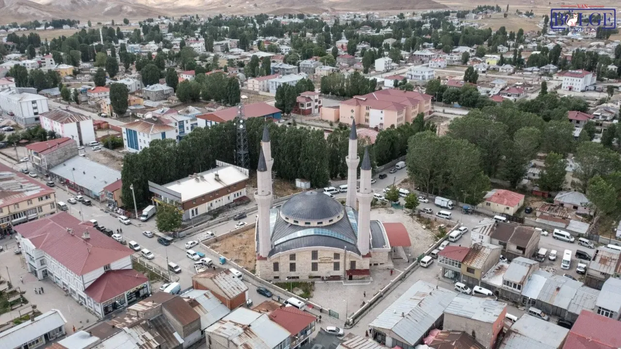 Van Çaldıran'da Köpek Saldırısı (2)