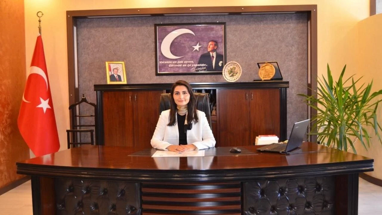 Van Vali Yardımcılığına Atanan Fidan Bozkır Kimdir Nereli, Kaç Yaşında, Hangi Görevlerde Bulundu-1