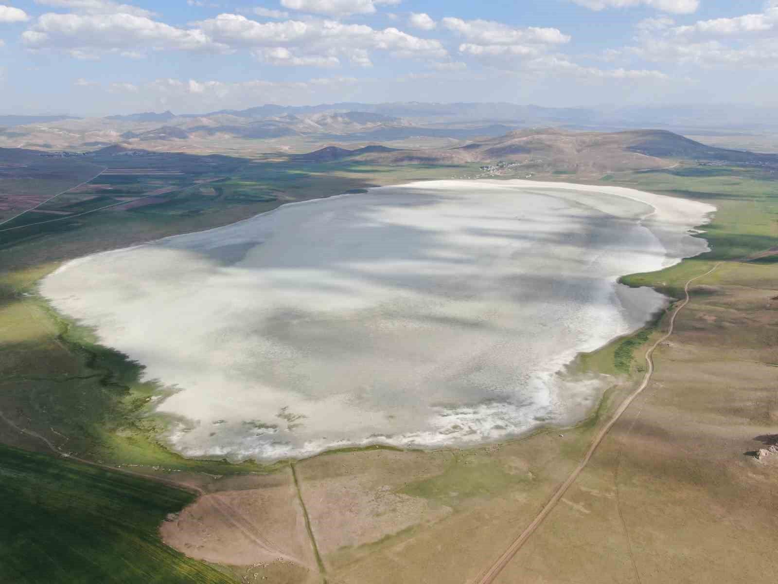 Van'da Kuraklığın Sembolü Akgöl Yeniden Hayat Buldu! (1)