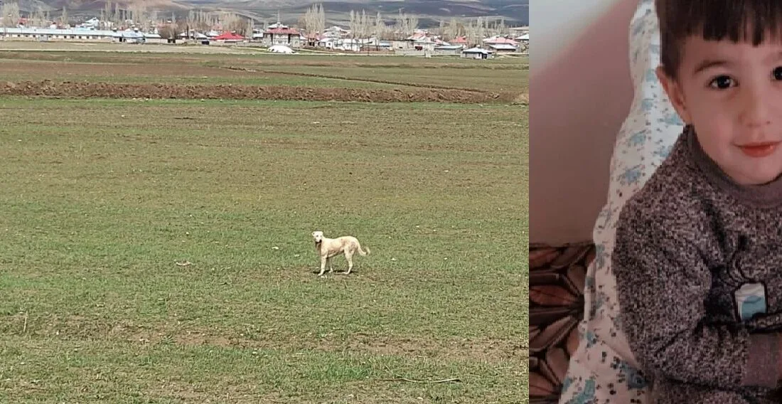 Van’daki Köpek Saldırısında Soruşturma İzni Verilen Davut Acar’dan İlk Açıklama (1)-2