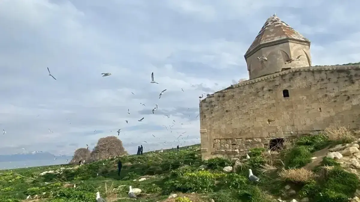 Çarpanak Adasi 1