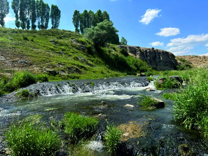 Erciş'te Keçelbend İçin Çağrı İnci Kefalinin Göç Yolundaki Engel Kaldırılsın-1