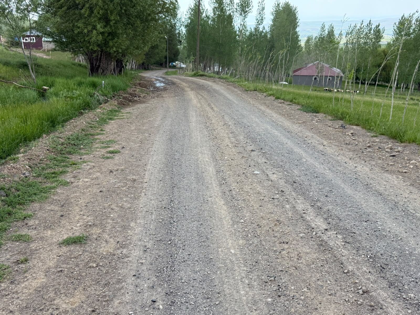 Van'da Şaşırtan Gerçek Bu Yol 50 Yıldır Yapılmayı Bekliyor (2)