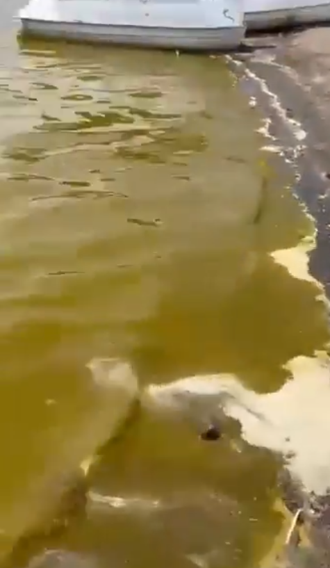 Vangölü 1