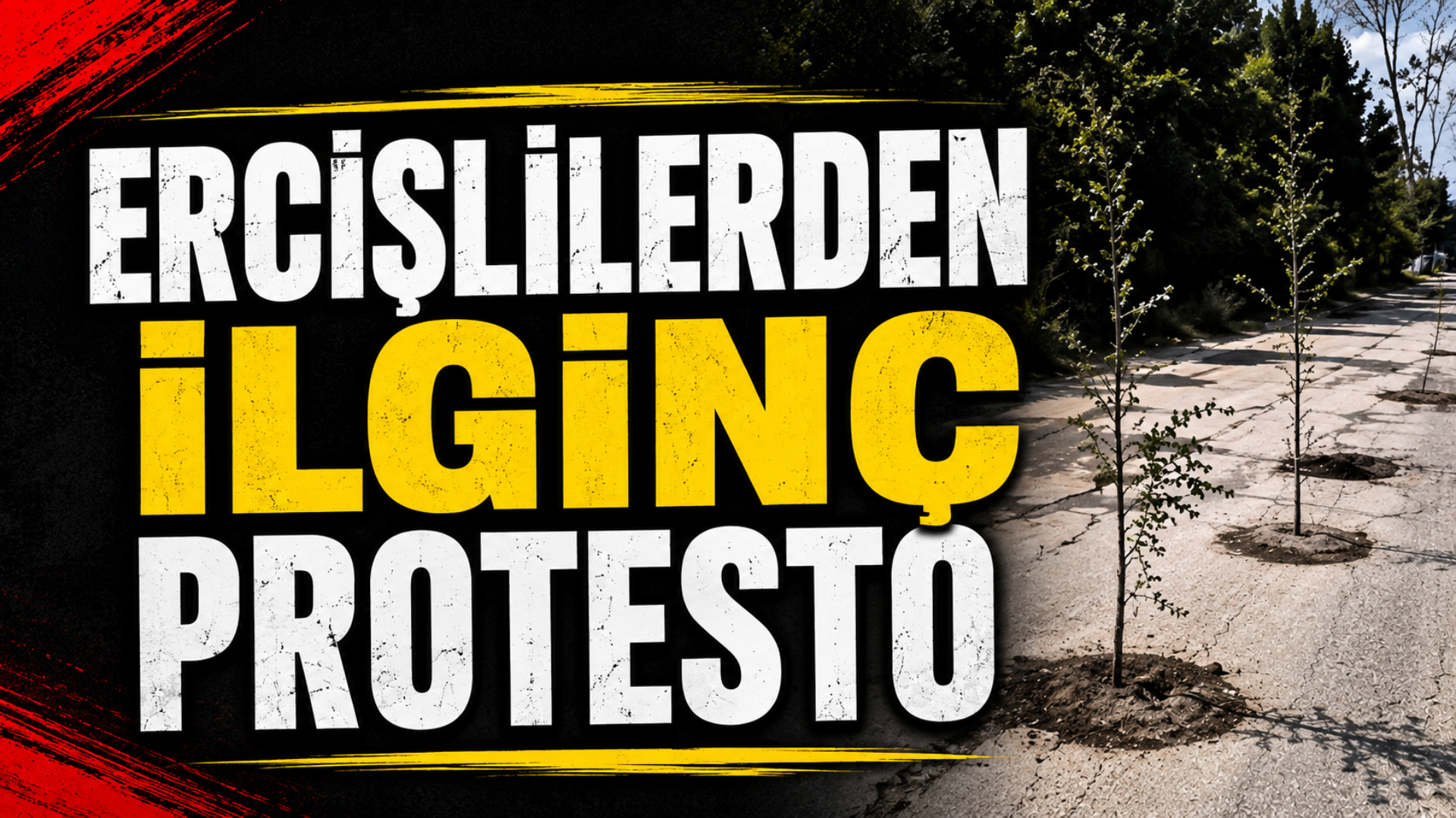 Ercişlilerden İlginç Eylem!