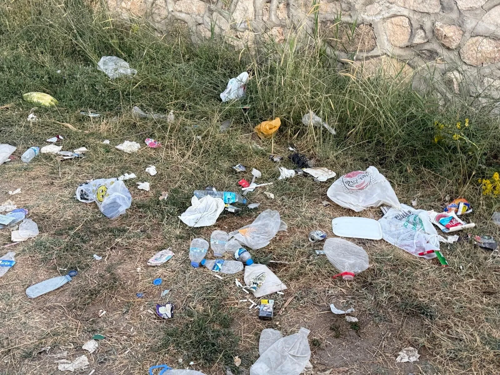 Van Gölü Çöplük (1)