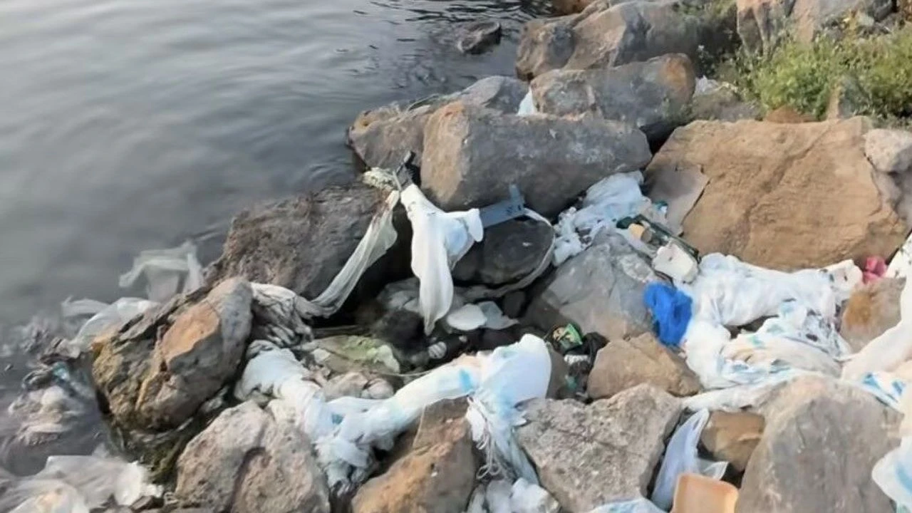 Van Gölü Çöplük (2)