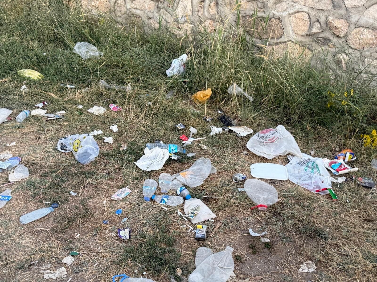 Van Gölü'nün Saklı Cenneti Çöplüğe Döndü! Edremit Çiçekli Sahili Yardım Bekliyor (4)