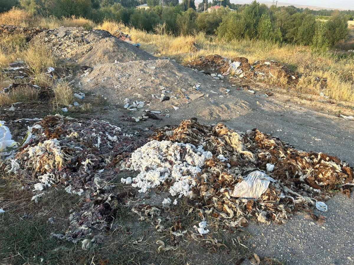 Van’ın Elindeki Değer Heba Oluyor! (1)-2