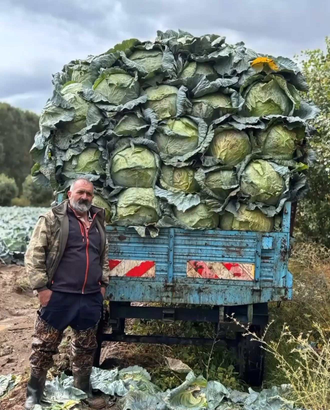 Erciş Keleminde Bereket Var, Alıcı Yok!
