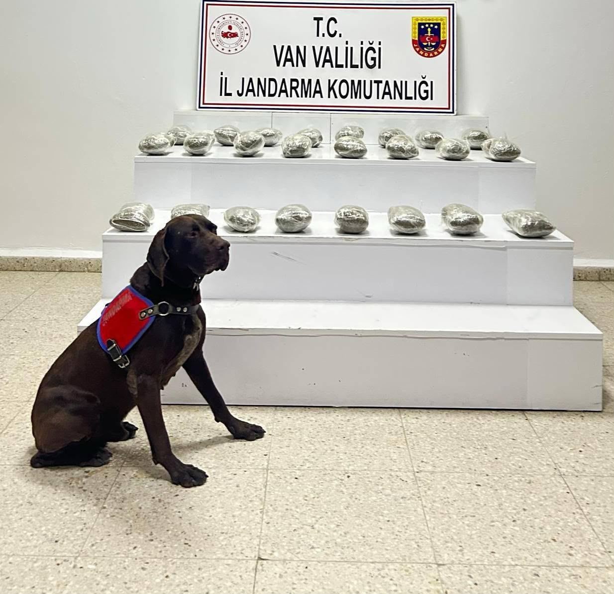Van Başkale’de Operasyon 3 Kişi Gözaltına Alındı!-1