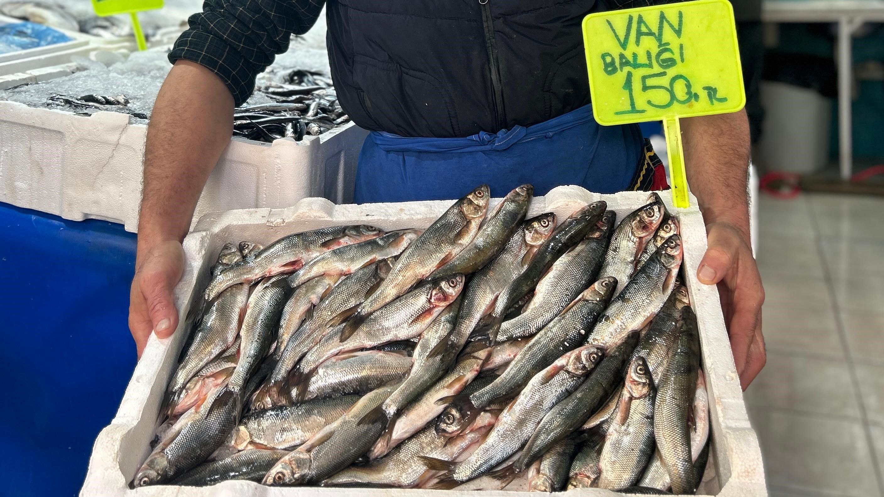 Van'da Tezgahlar Çeşitlendi! Tüketicinin Tercihi Van Gölü'nün Incisi Oldu 3