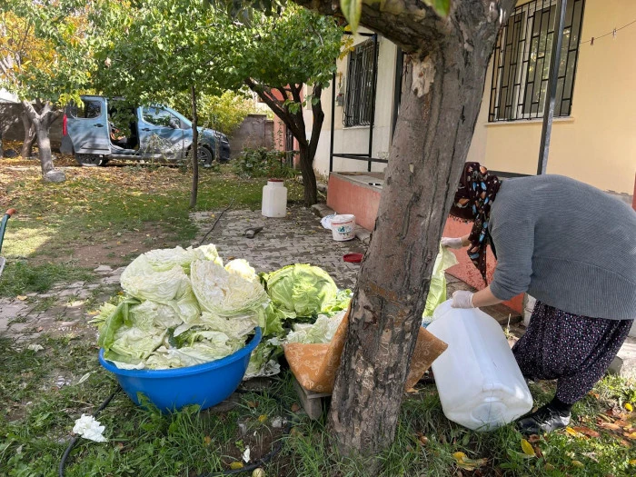 Van'ın Kazan Kazan Tuzlanan Tescilli Devi Erciş Kelemi Nedir, Nasıl Saklanır (1)-1